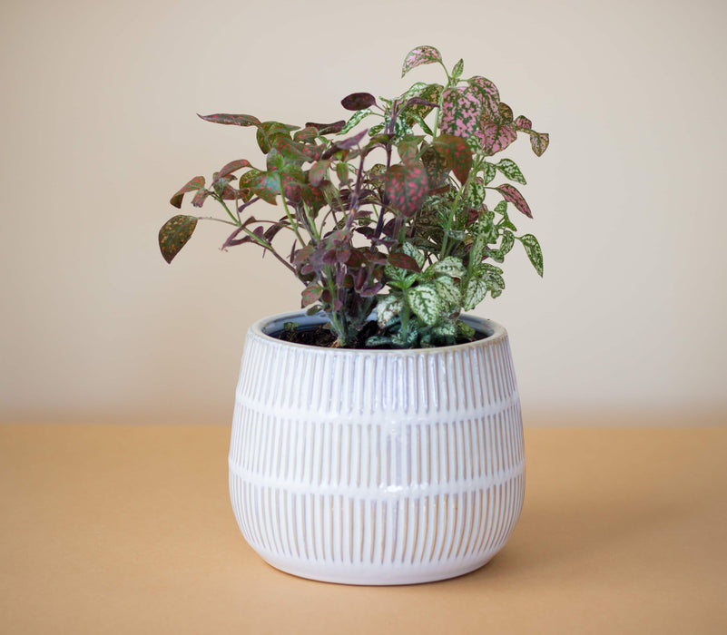 Macetero Cerámica María Clara