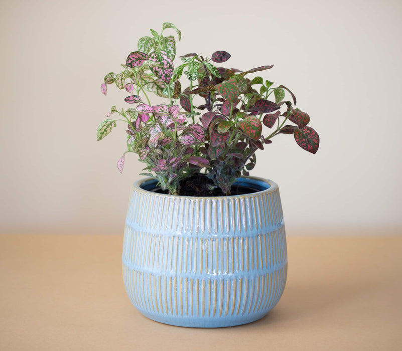 Macetero Cerámica María Clara