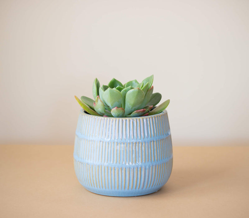 Macetero Cerámica María Clara