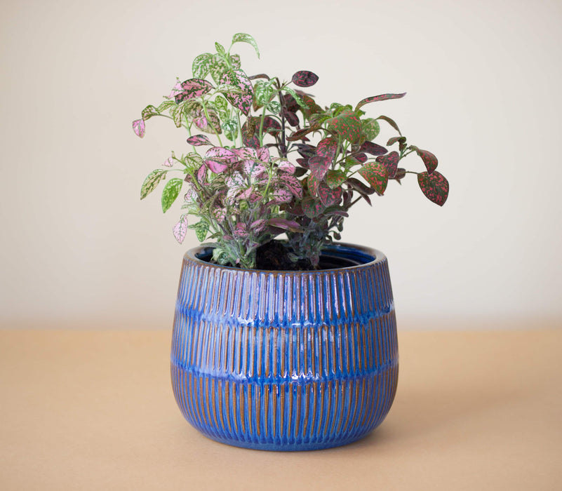 Macetero Cerámica María Clara