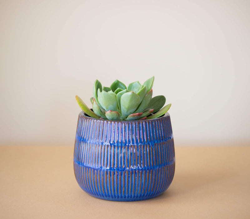 Macetero Cerámica María Clara