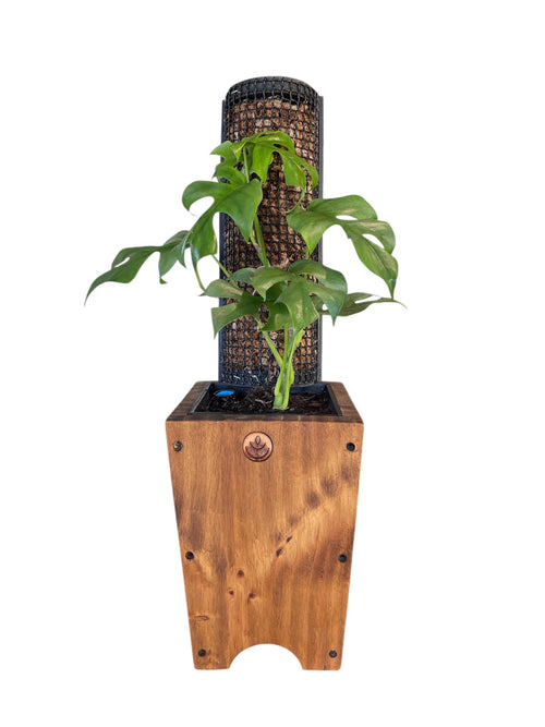 Aero Tutor de musgo para pared con Hidrocapture, para plantas trepadoras – Artecultivos