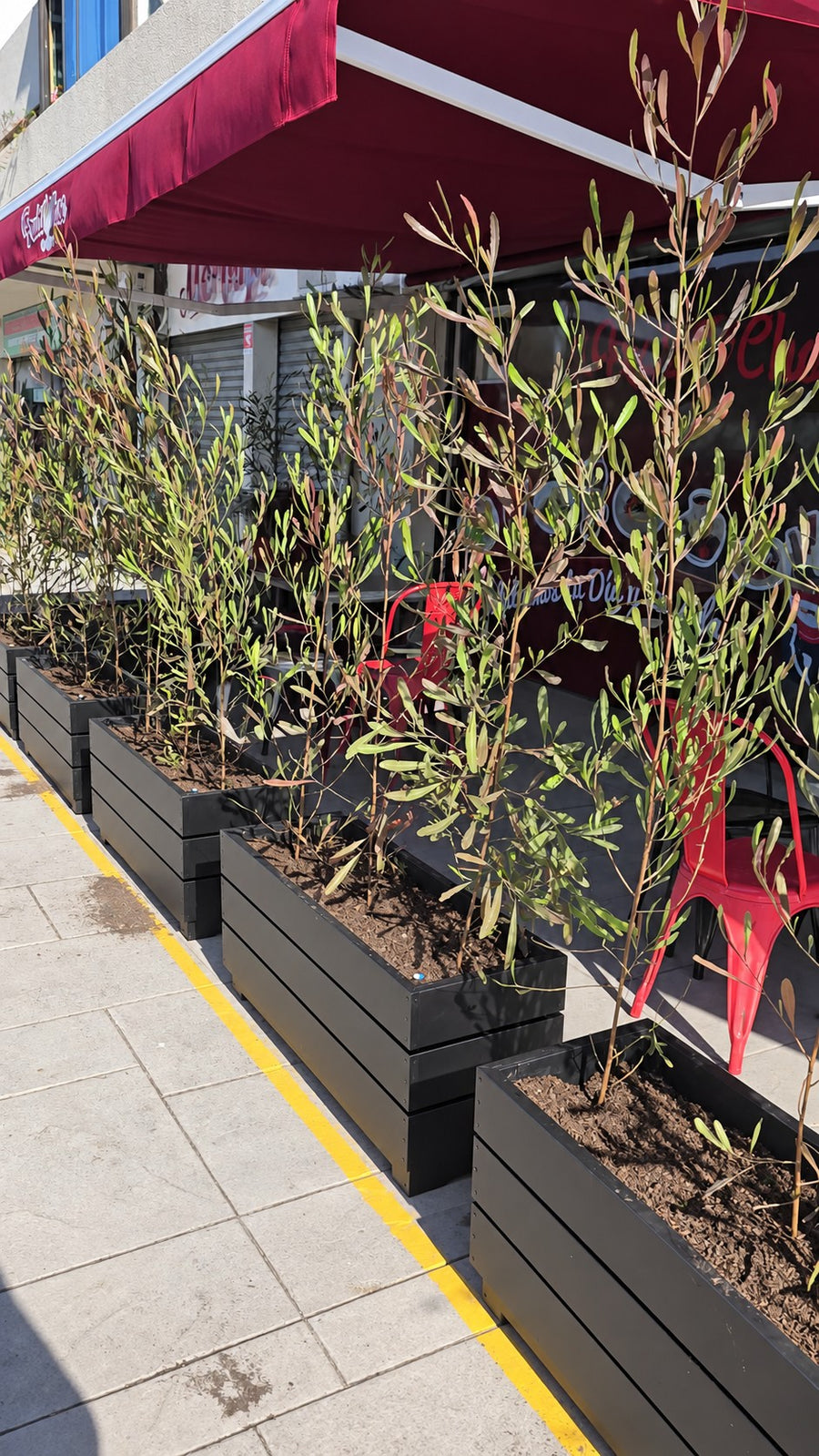 Vista general de la cafetería con jardineras y plantas — Fotografía retocada