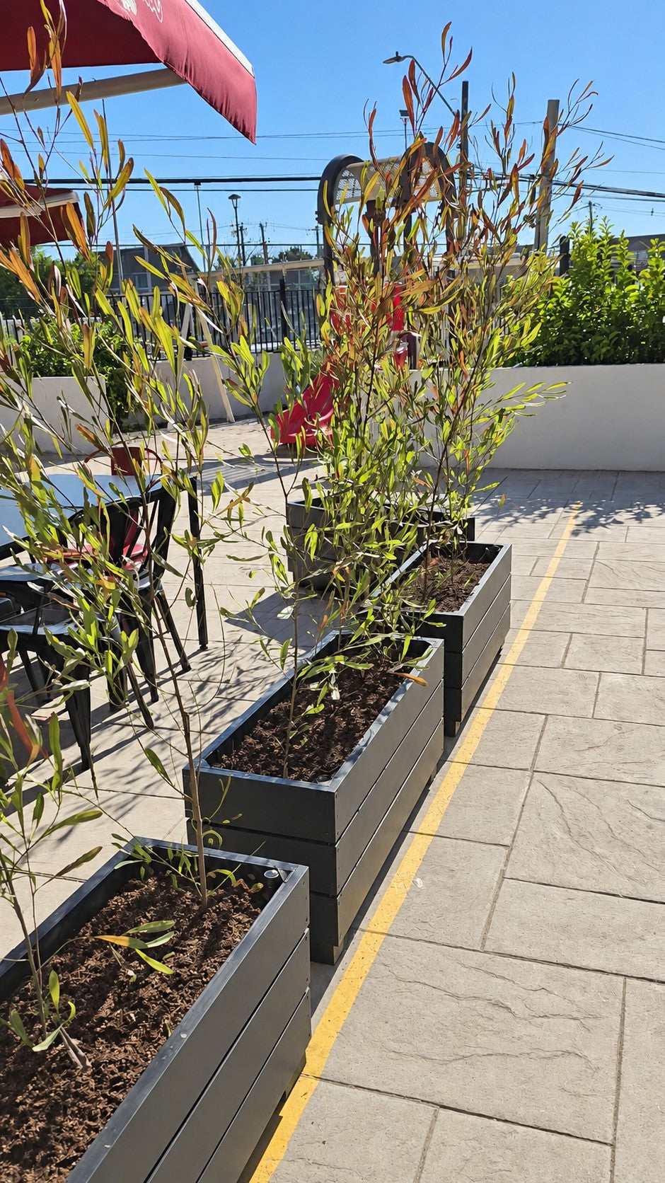 Recorrido de las jardineras junto a la terraza de la cafetería — Fotografía retocada