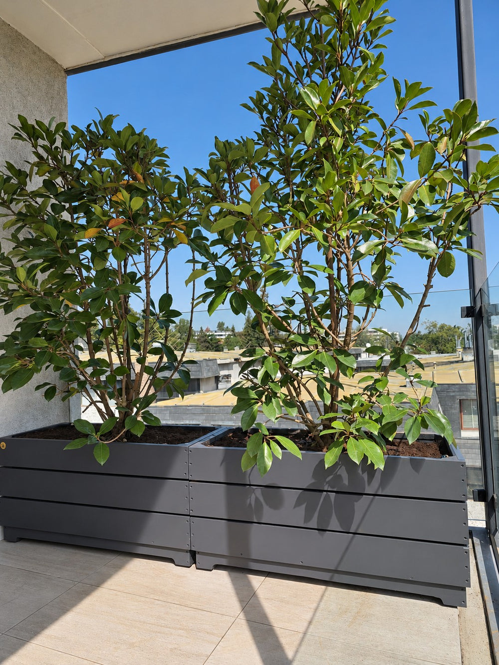 Vista general de las jardineras oscuras y plantas del cortavista — Fotografía retocada
