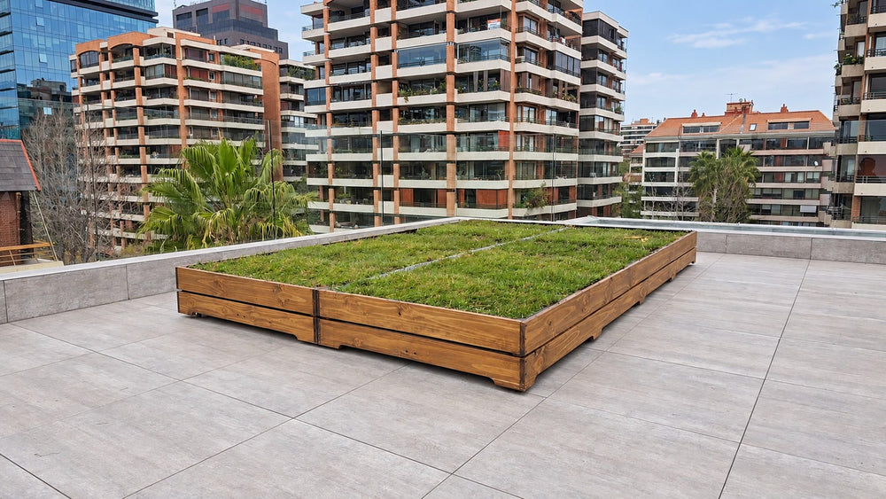 Vista general de la maceta con césped en la terraza — Fotografía retocada