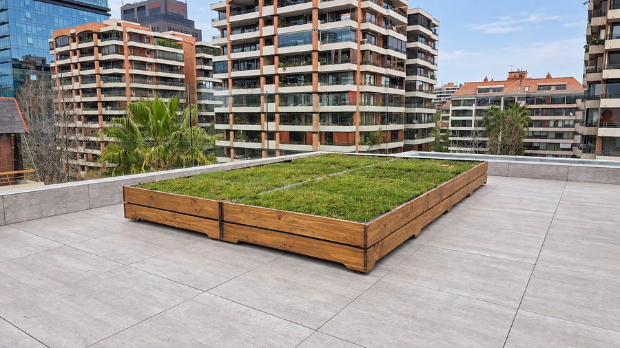 Vista general de la maceta con césped en la terraza — Fotografía retocada