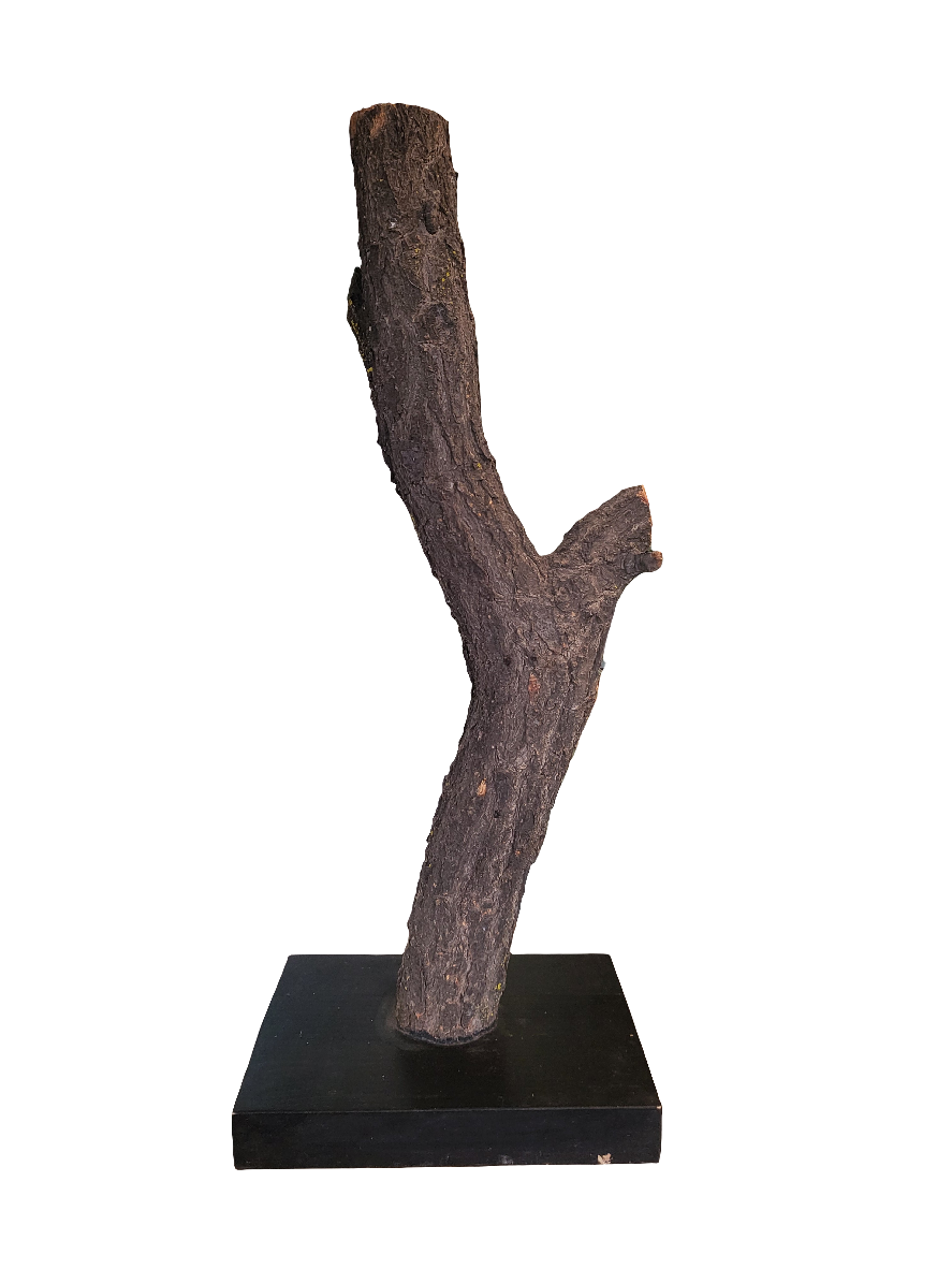 Tronco decorativo