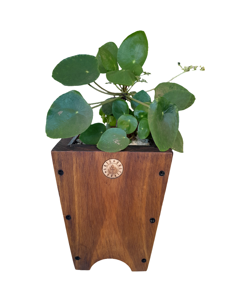 Macetero de madera Lonco 2 con autorriego Hidrocapture, foto 4 – Artecultivos