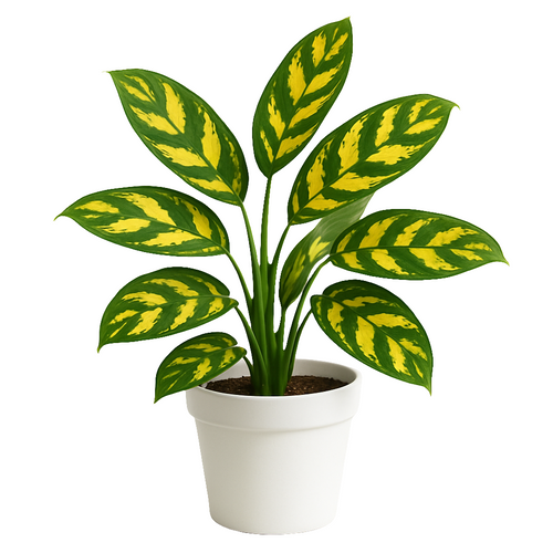 Planta Calathea Golden Mosaic – Artecultivos