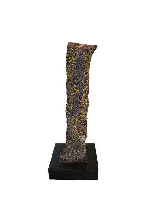Tronco decorativo