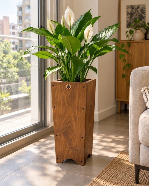 Macetero de madera Lonco 5 con autorriego Hidrocapture, color habano, con planta – Artecultivos