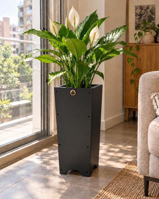 Macetero de madera Lonco 5 con autorriego Hidrocapture, color negro, con planta – Artecultivos