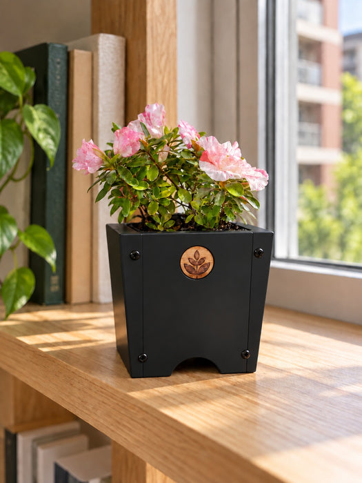 Macetero Lonco Mini — negro — imagen de ambientación