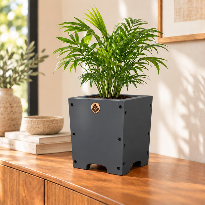 Macetero de madera Lonco 3 con autorriego Hidrocapture, color gris, con planta – Artecultivos