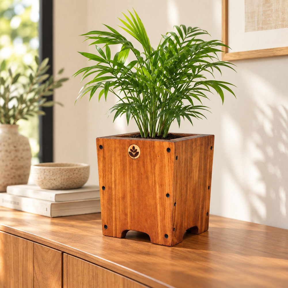 Macetero de madera Lonco 3 con autorriego Hidrocapture, color habano, con planta – Artecultivos