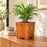 Macetero de madera Lonco 3 con autorriego Hidrocapture, color habano, con planta – Artecultivos