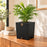 Macetero de madera Lonco 3 con autorriego Hidrocapture, color negro, con planta – Artecultivos