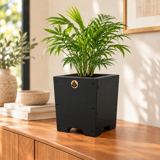 Macetero de madera Lonco 3 con autorriego Hidrocapture, color negro, con planta – Artecultivos