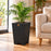 Macetero de madera Lonco 4 con autorriego Hidrocapture, color negro, con planta – Artecultivos