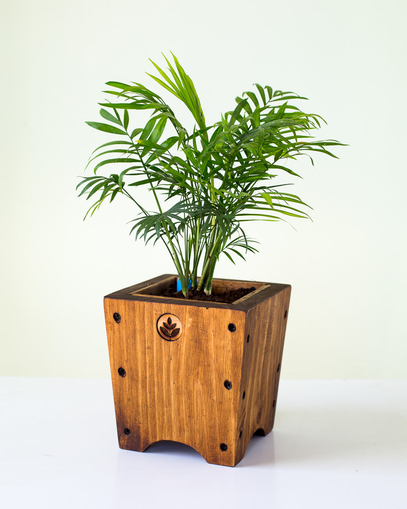 Macetero de madera Lonco 1 con autorriego Hidrocapture, foto 5 – Artecultivos