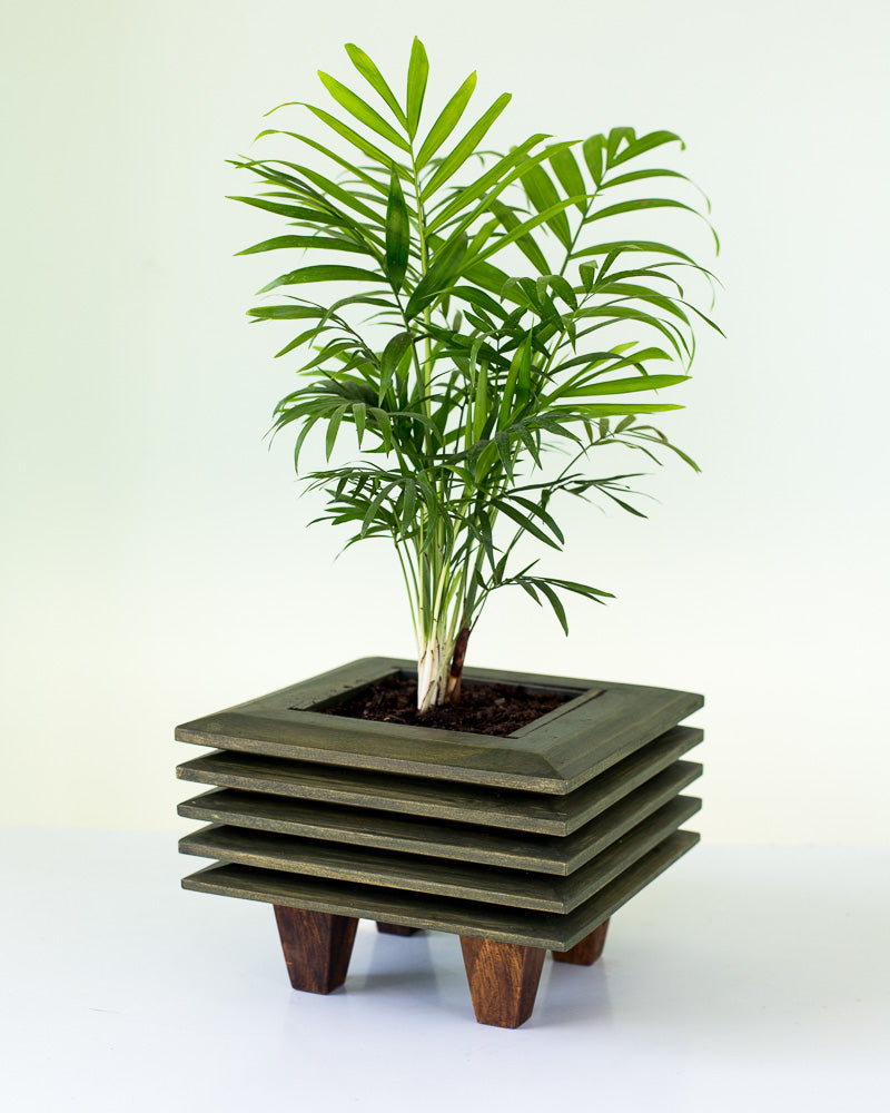 Macetero de Madera Japones I