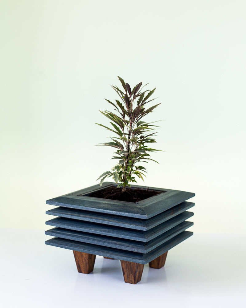 Macetero de Madera Japones I