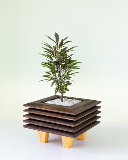 Macetero de Madera Japones I