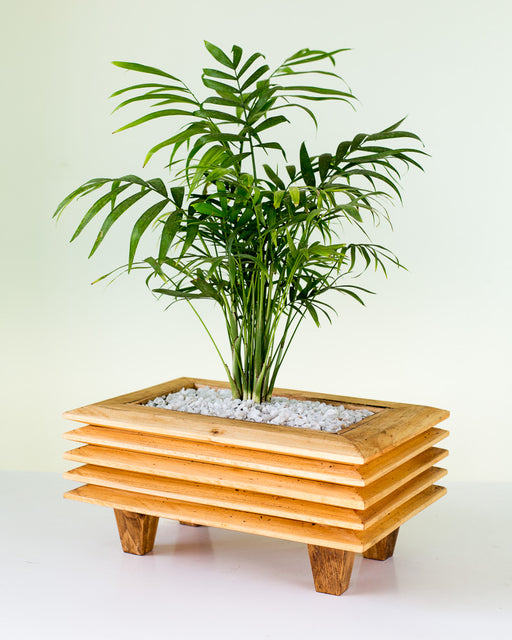 Macetero de Madera Japones II