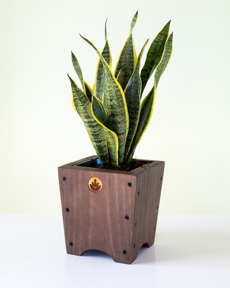 Macetero de madera Lonco 1 con autorriego Hidrocapture, foto 4 – Artecultivos