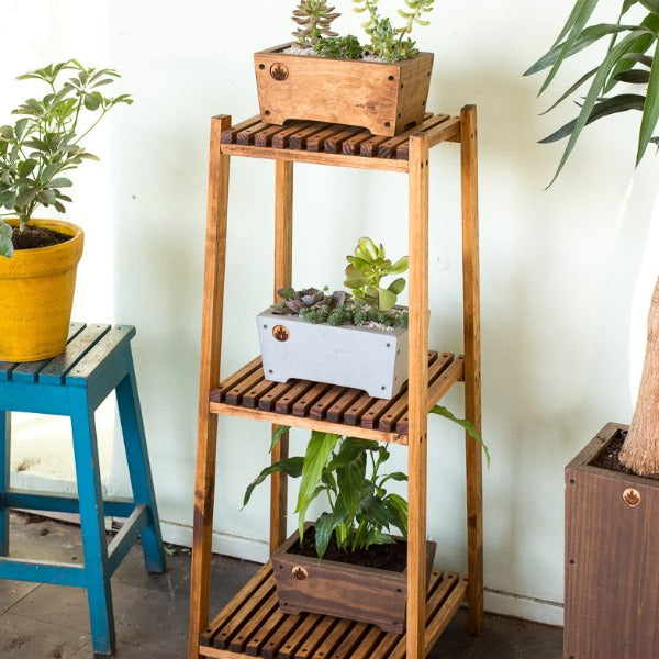 Repisa de madera para plantas Pillan, foto 3 – Artecultivos