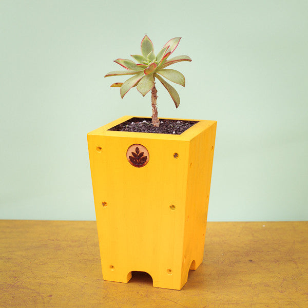 Macetero Lonco Mini II - Arte Cultivos