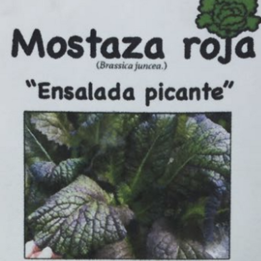 Semillas Orgánicas