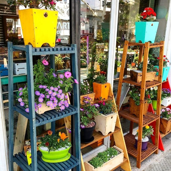 Repisa de madera para plantas Pillan, foto 7 – Artecultivos